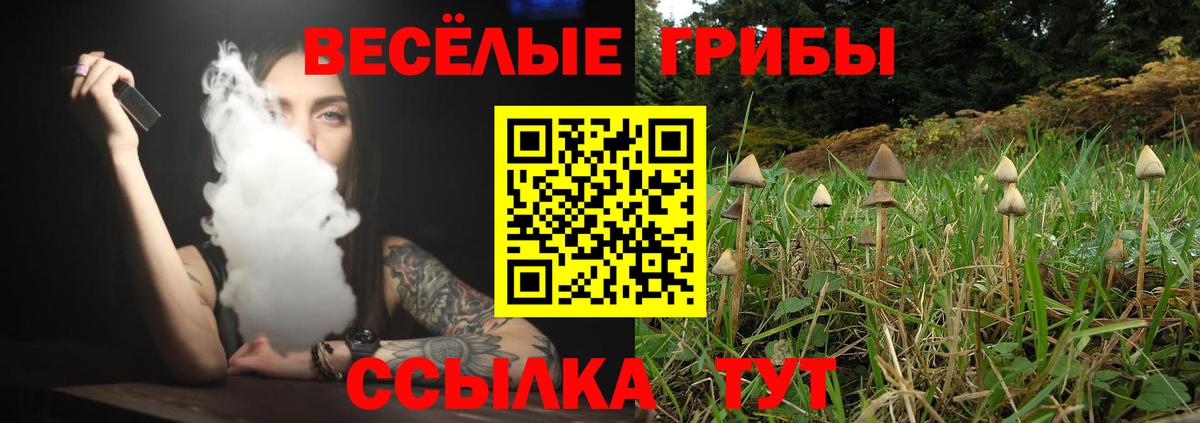 Псилоцибиновые грибы MAGIC MUSHROOMS  Вход с VPN  Строитель 